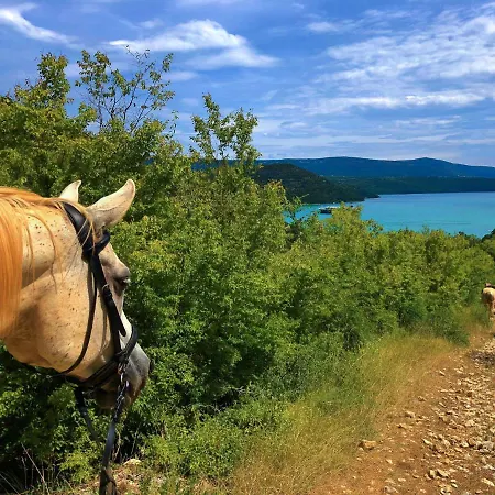 Vakantiehuis Klen 1 By Interhome *