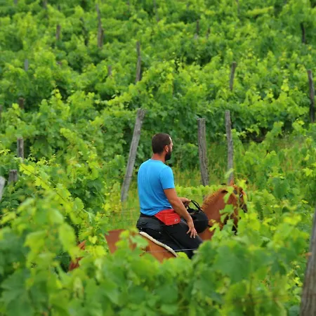 Klen 1 By Interhome Vakantiehuis